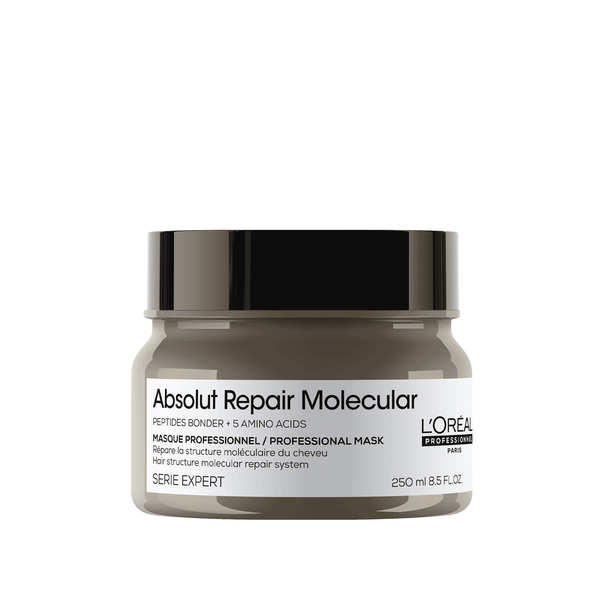L'Oréal Professionnel Absolut Repair Molecular Mask